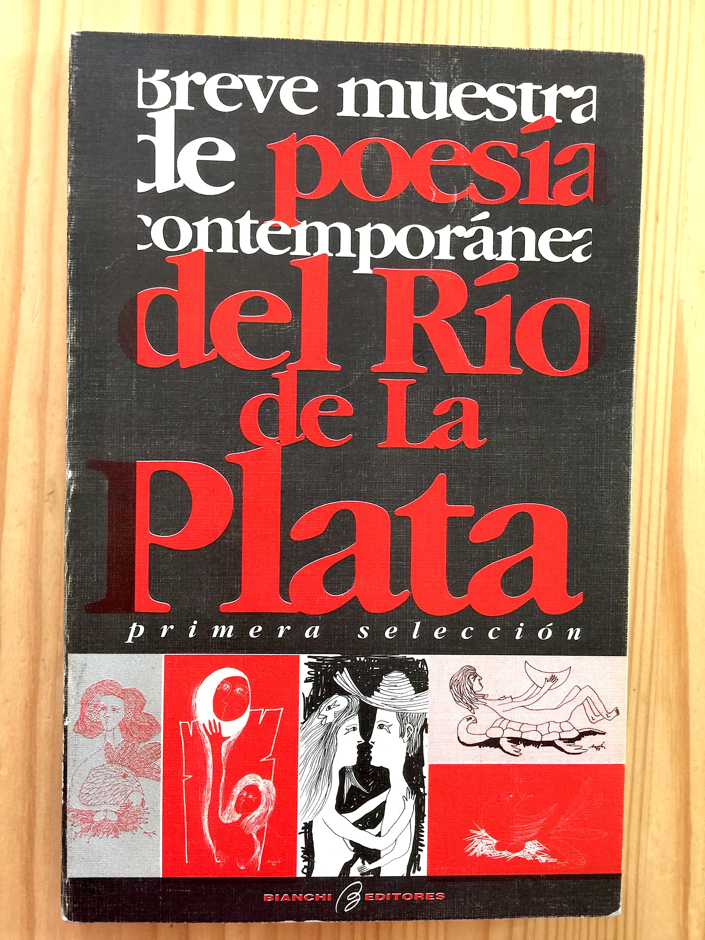 published in a poetry anthology
