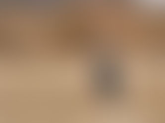 A crane with a red crown stands in a grassy field, surrounded by dry vegetation and brownish tones, under a clear sky.