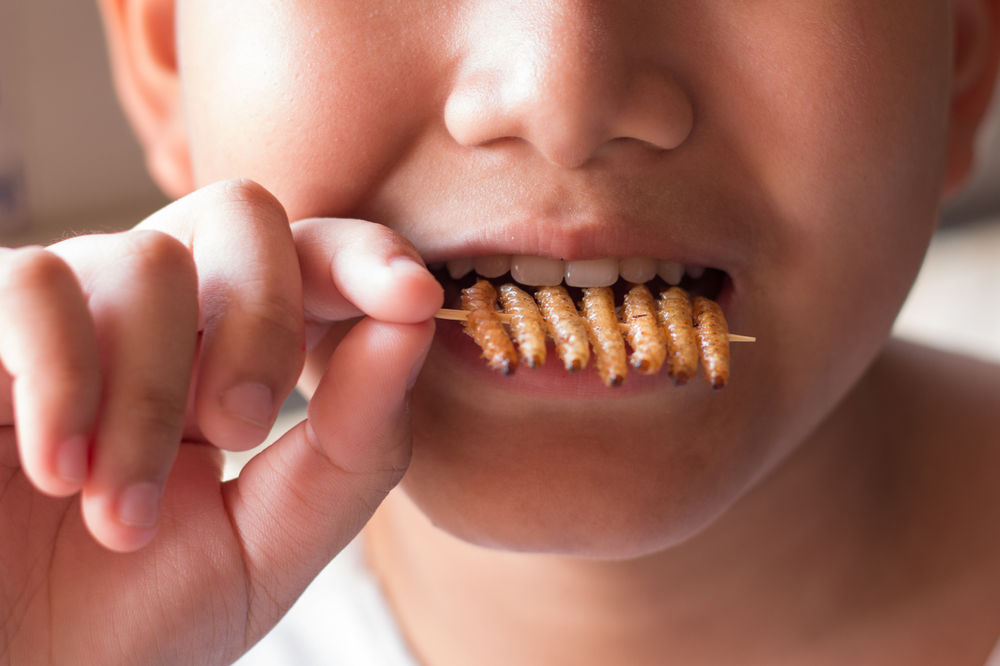 Five Reasons You Should Be Eating Bugs