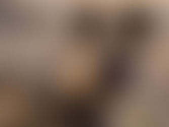 An African wild dog with large ears and mottled fur stands alert in dry, blurred background. It has an open mouth, conveying curiosity.