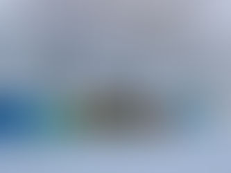 Where do honeybees go in winter?