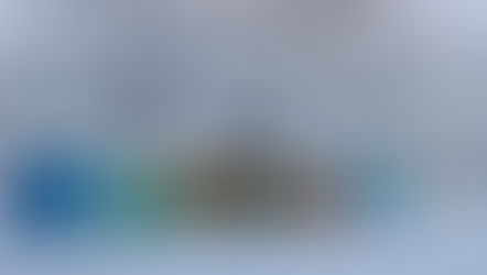 Where do honeybees go in winter?