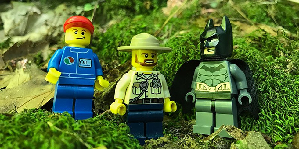 LEGO Gone Wild