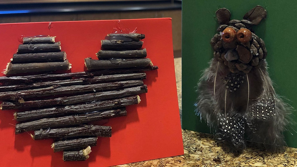 Valentine's Day Nature Cards