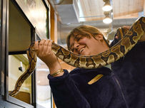 A smiling person holding a large patterned python indoors under bright lights.