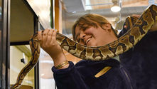 A smiling person holding a large patterned python indoors under bright lights.