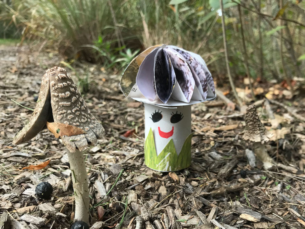 Make Your Own Mushrooms