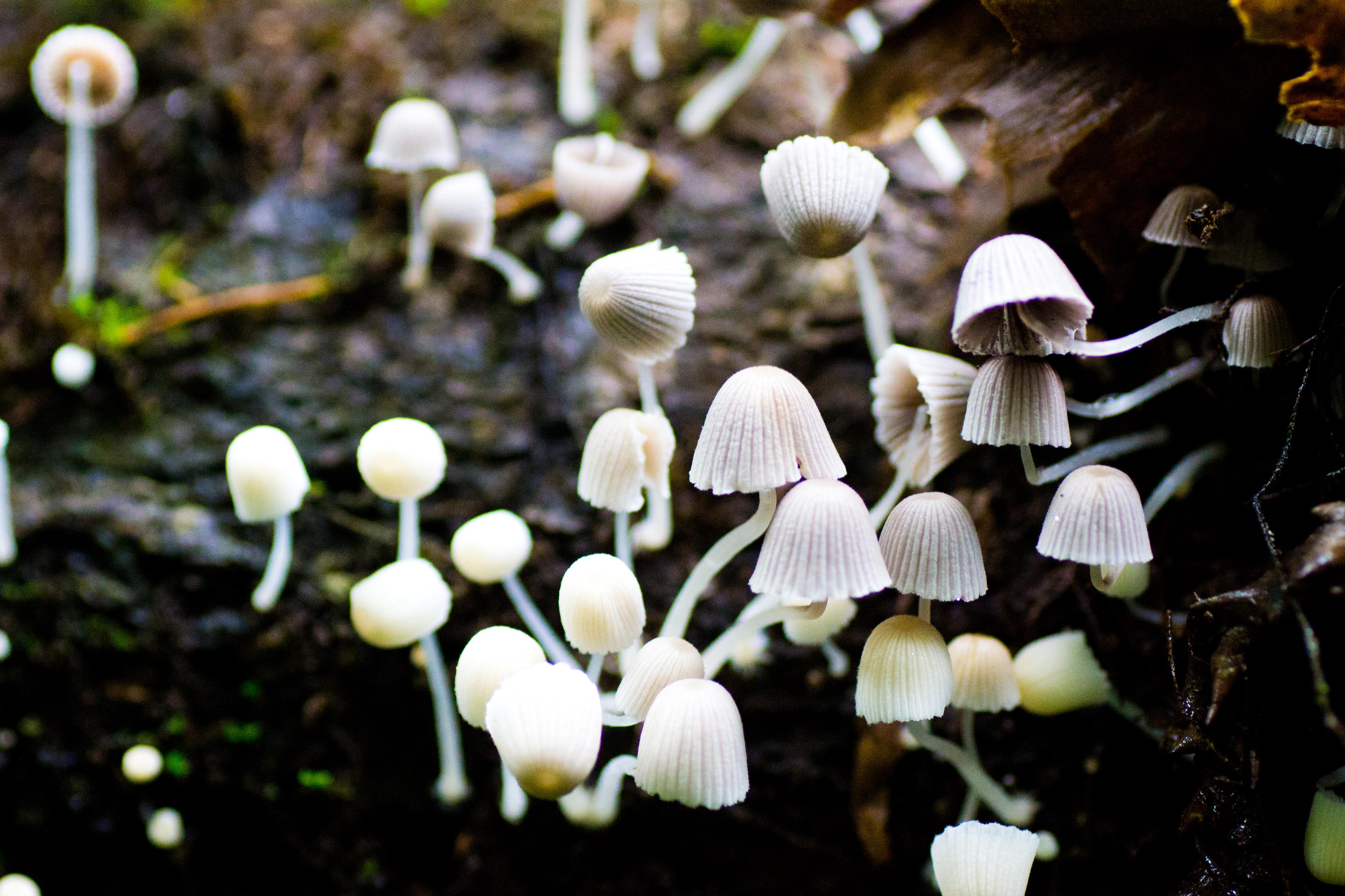 DSC_0647.jpg