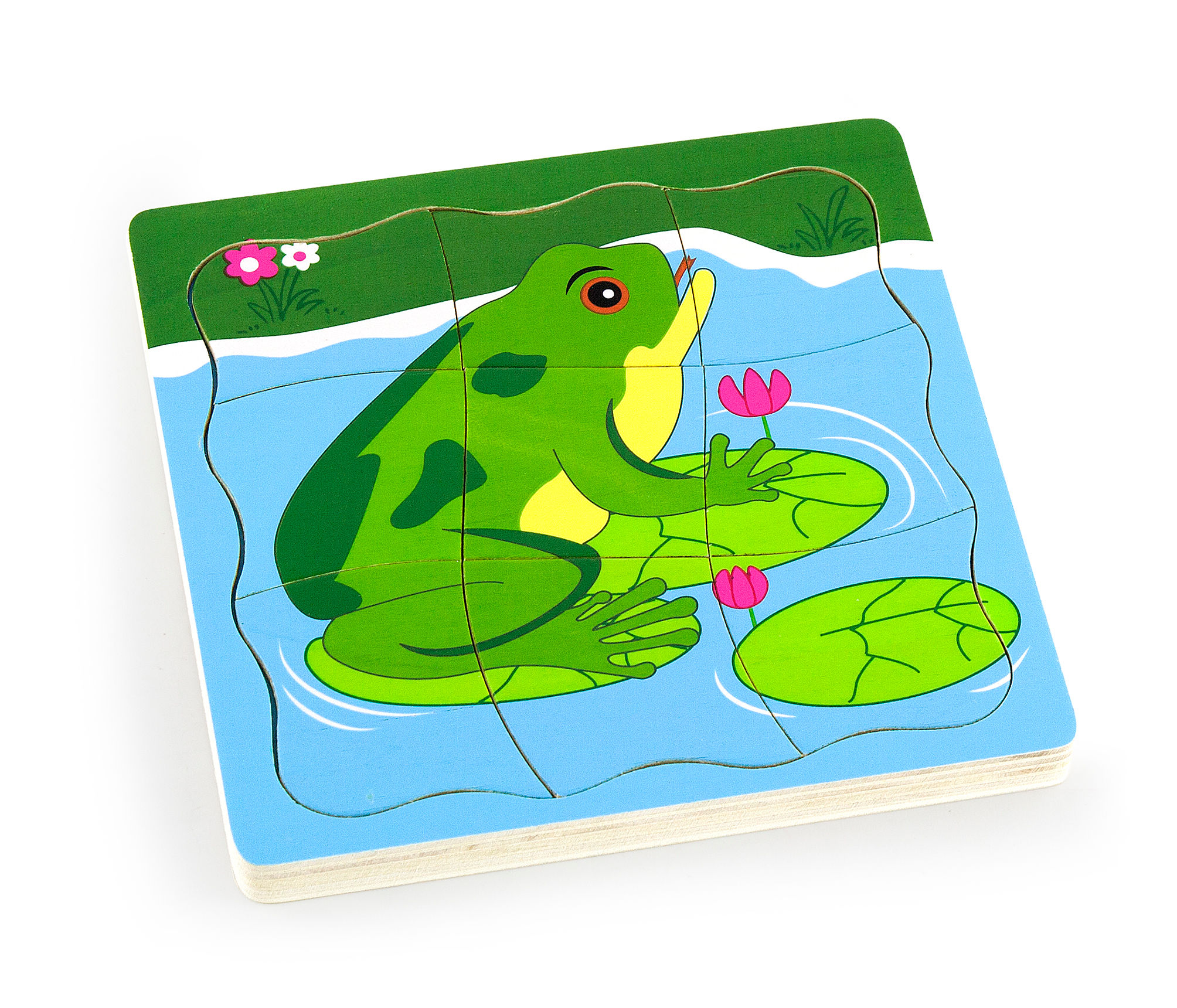 Grow up puzzle - Rana