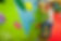 Kids CLubs 6.jpg
