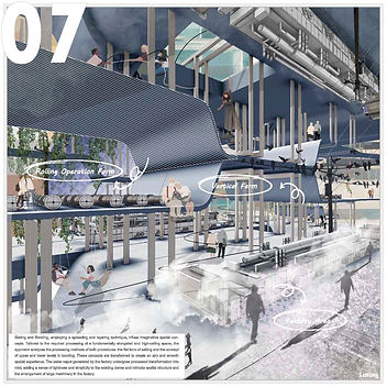 collage(7).jpg