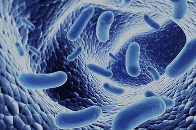 Bacteria_edited_edited.jpg