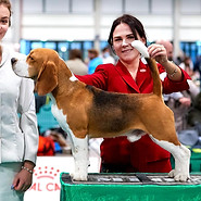 271144204_5052435964788362_4440253461970967920_n (1).jpg