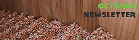 35 October Newsletter Header.jpg