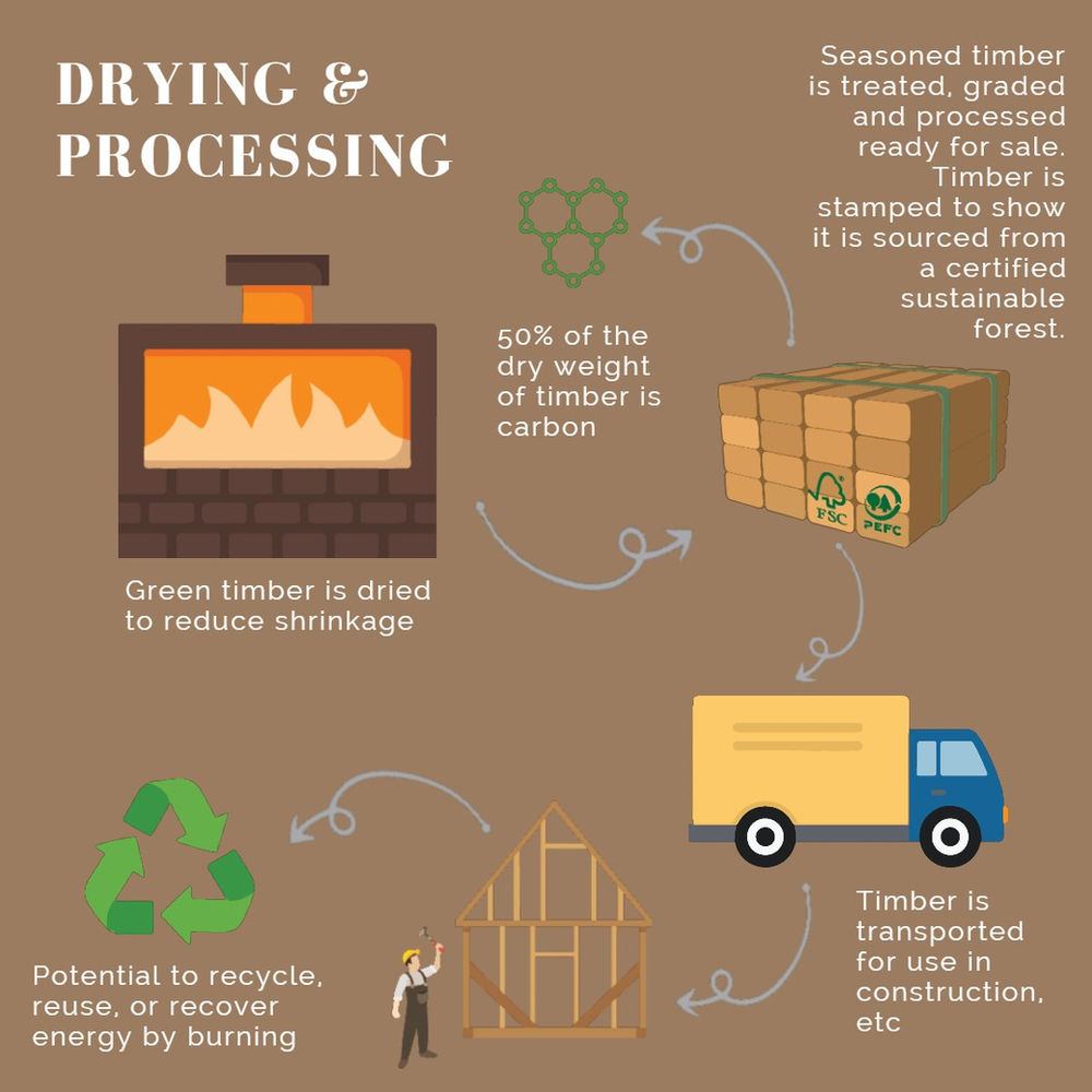 Timber Production Process