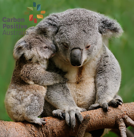 Carbon Positive Australia.jpg
