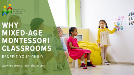 Why Mixed-Age Montessori Classrooms Benefit Your Child