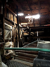 IMG-2774.jpg