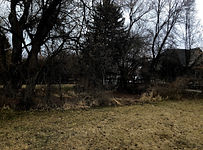 IMG-2777.jpg