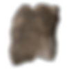 1x
