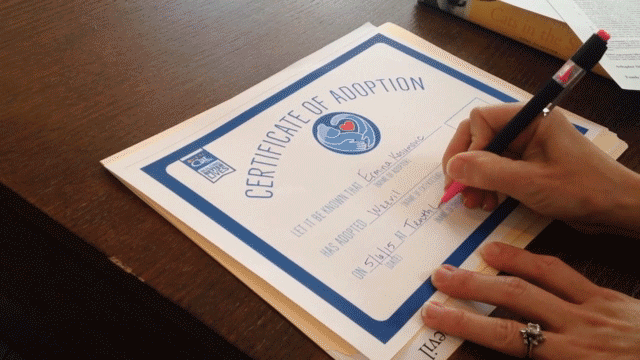 signing