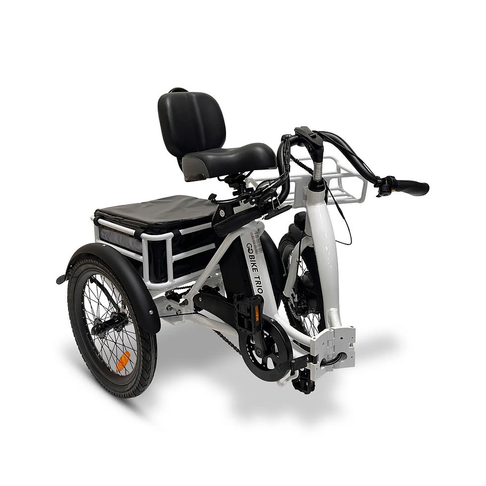 Thumbnail: TRIO Crossover Lightweight Foldable Electric Tricycle