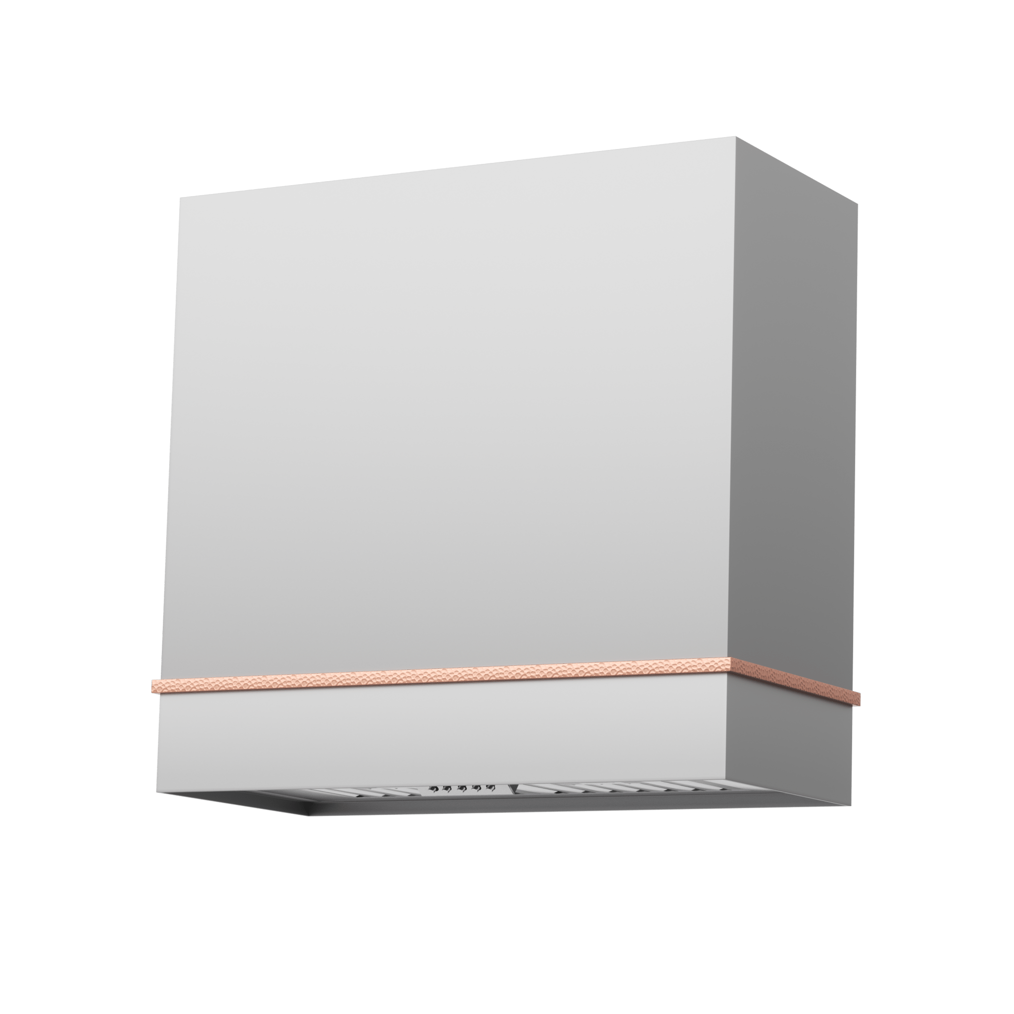 Akicon 30" Stainless Steel Range Hood, 600 CFM Wall Mount Vent Hood with Powerfu