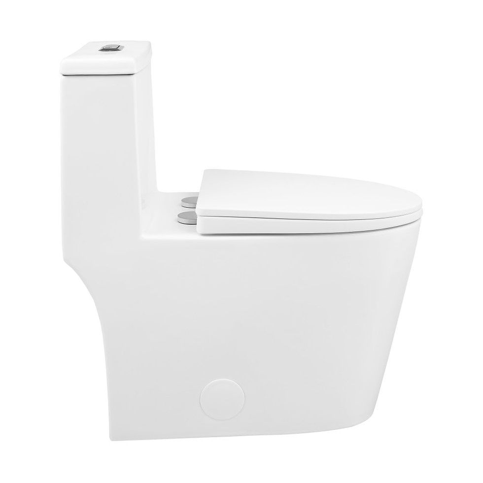 Thumbnail: Swiss Madison - well made forever Dreux One pc Elongated Dual Flush