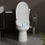 Thumbnail: 12 inch 2-pieces 1.28 GPF Siphon Ceramic Toilet in White Electric Bidet Seat wit