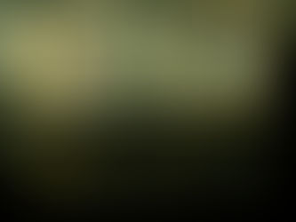 Saving Money in NYC: Budget-Friendly Tips for Travelers