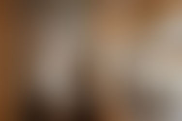 penthouse with a sauna