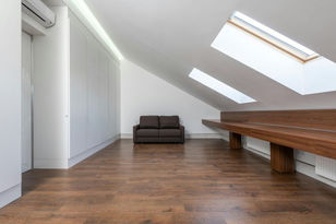 loft with skylight