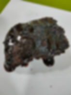 Walnut Brownies
