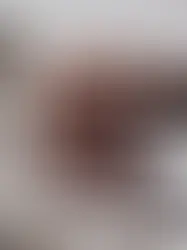 The Best Chocolate Cake Recipe