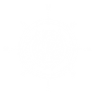 image_2022-05-09_181246492 - Prin Viboonkiat.png