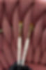 Dskineffect Dynamic Brush Duo