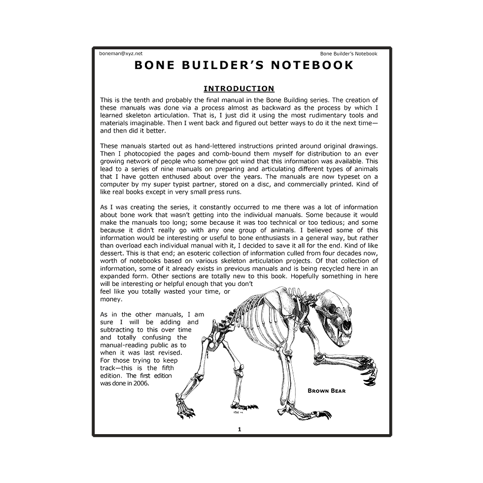 Thumbnail: Bone Builder's Notebook, Vol. 10