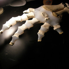 PA189283.jpg