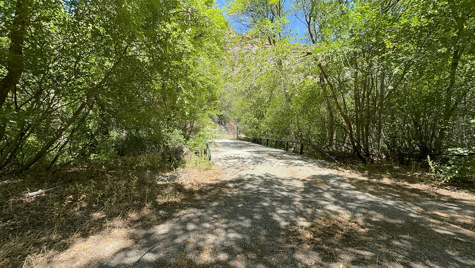 Narrow bridge and road through dense trees at the former Casey Jones Junction Cub Scout day camp.