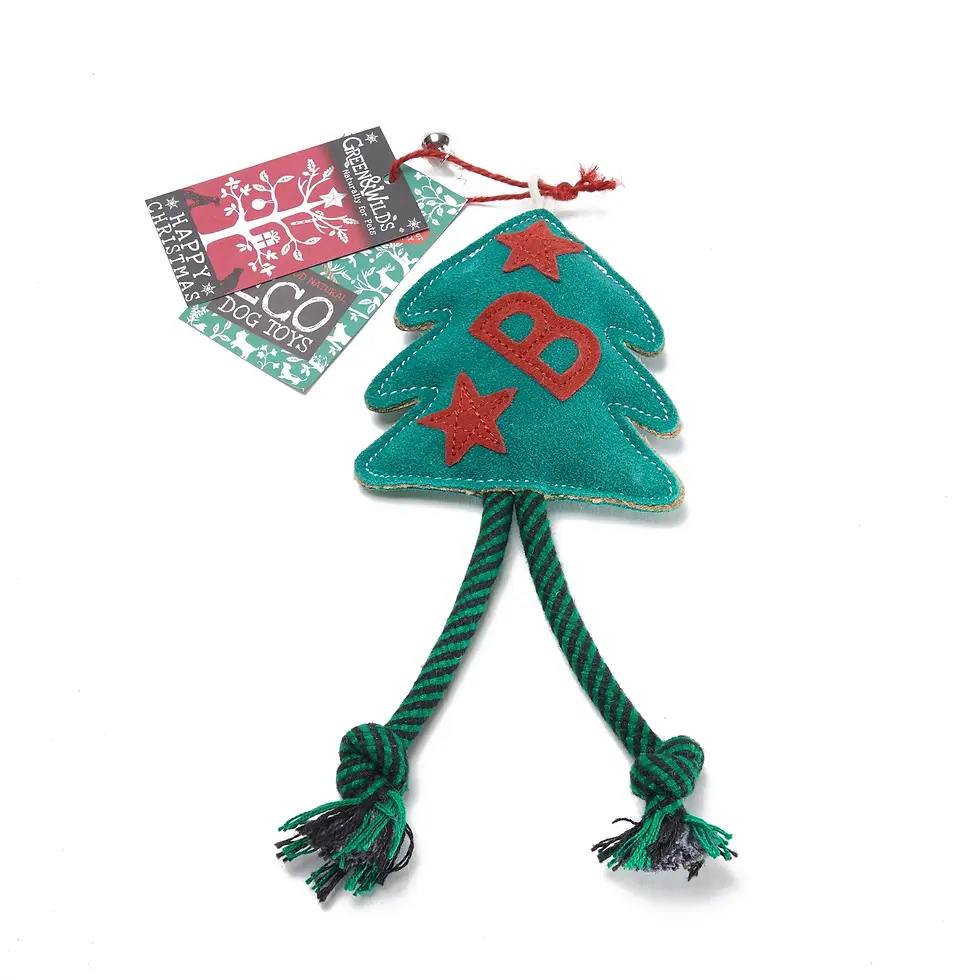 Green & Wilds Bruce the Spruce Dog Toy