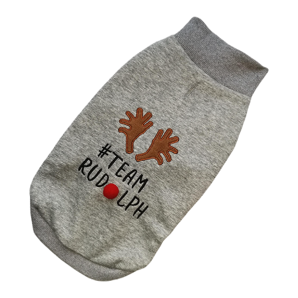 House of Paws Team Rudolph Christmas Jumper L