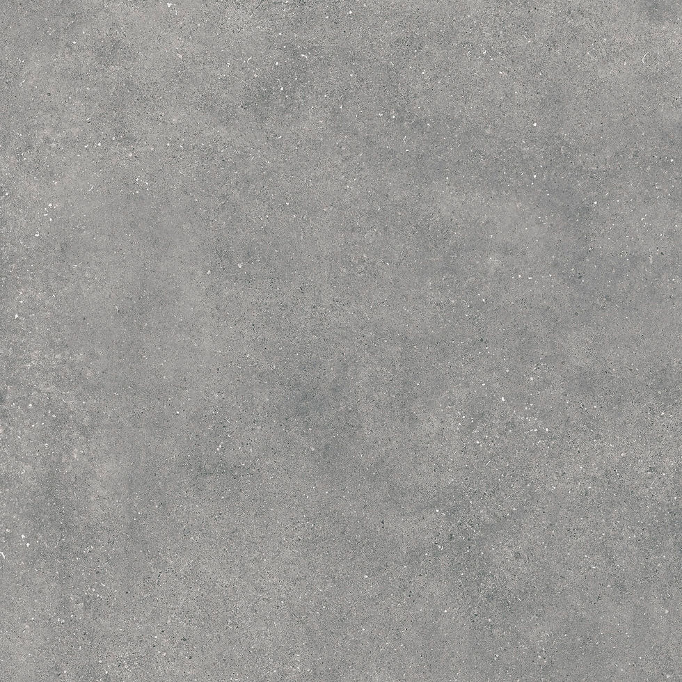 Portland gris 60*60 cm