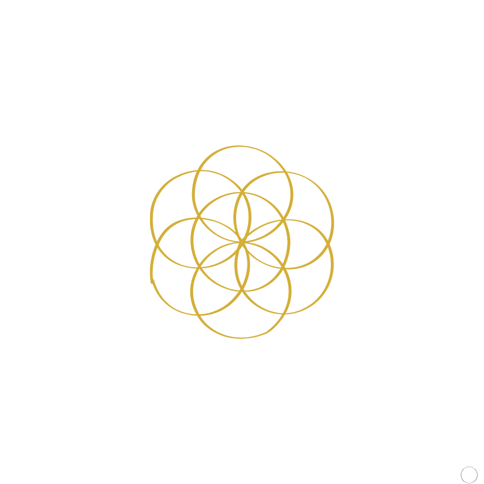 seed of life.png