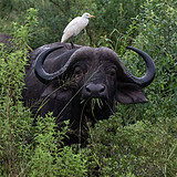 South Africa-30.jpg
