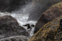 Iceland-12