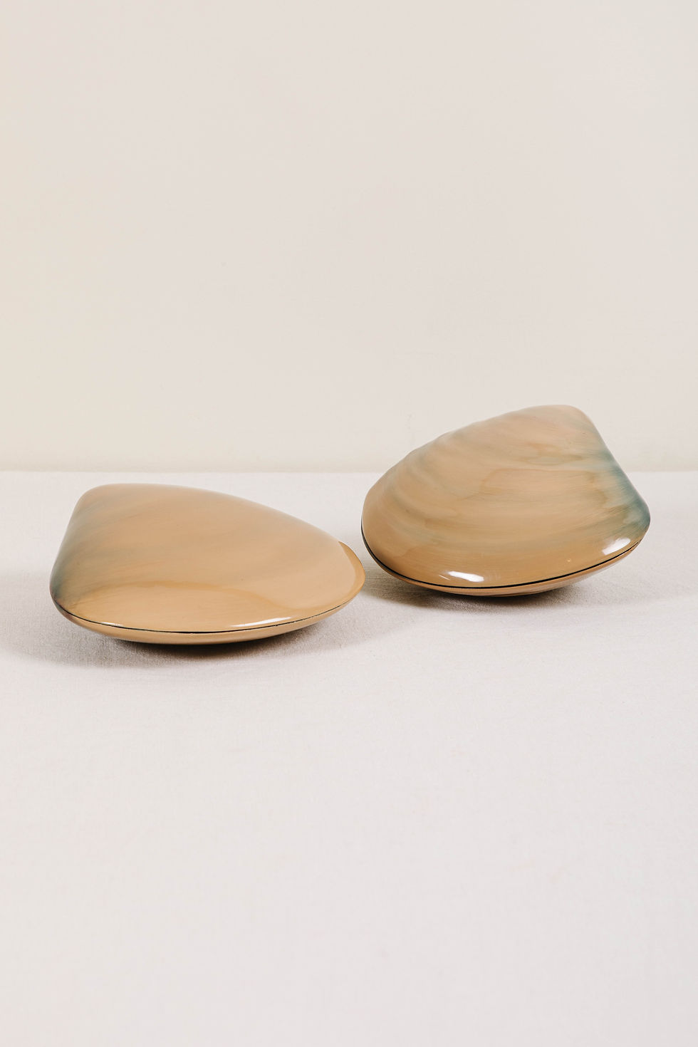 Clam Shell Boxes | SOLD