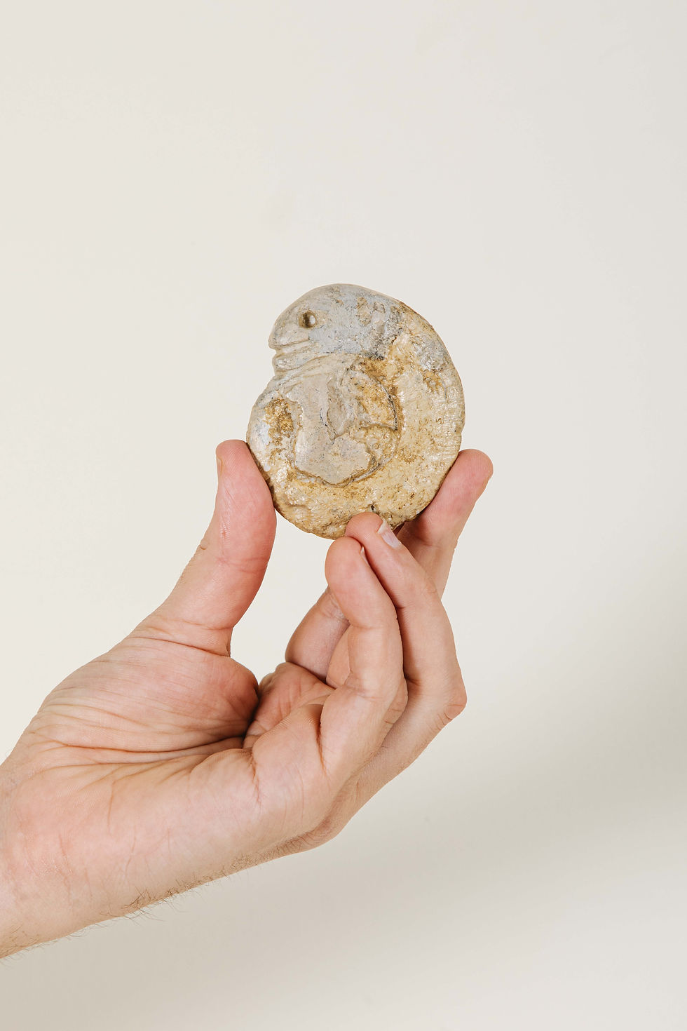 Thumbnail: Ammonite Snakestone | SOLD