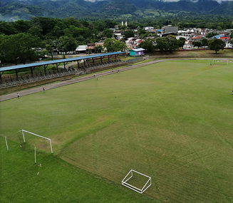 Estadio Dumar Holguin Peralta.PNG