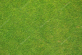 golf grass.jpg