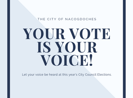 Importance of Upcoming City Council Elections